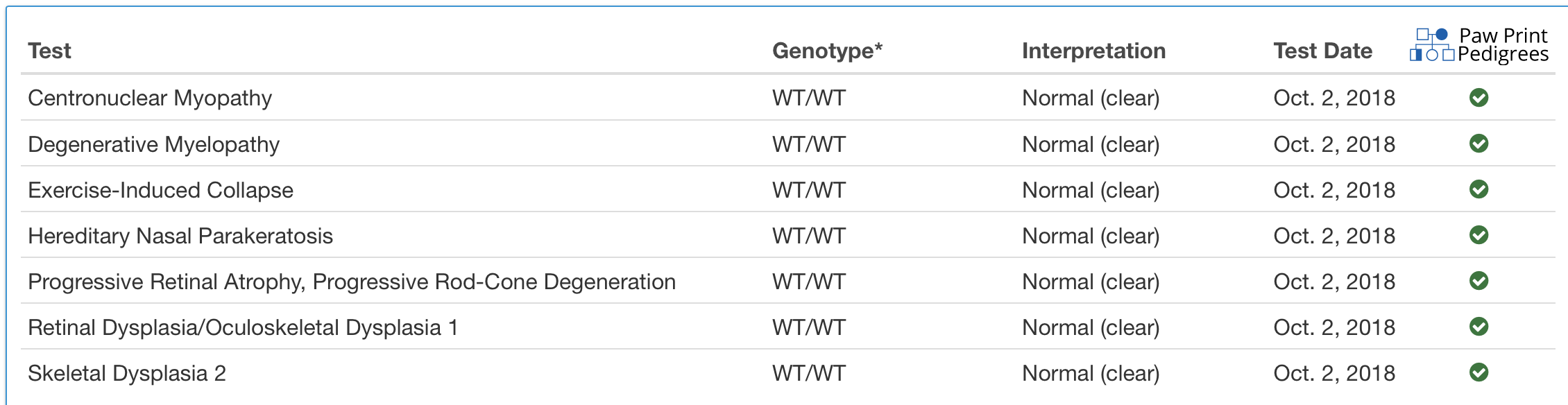 Screen Shot 2020-02-13 at 12.03.32 PM