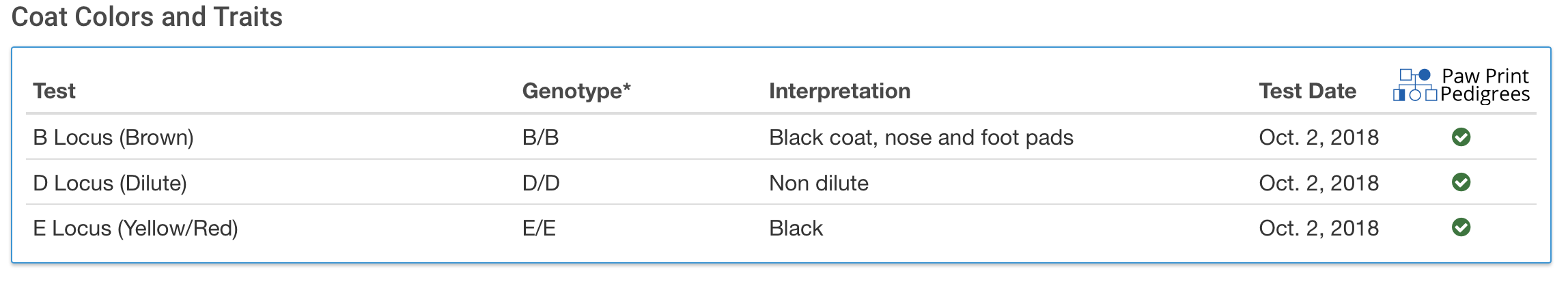 Screen Shot 2020-02-13 at 12.04.29 PM