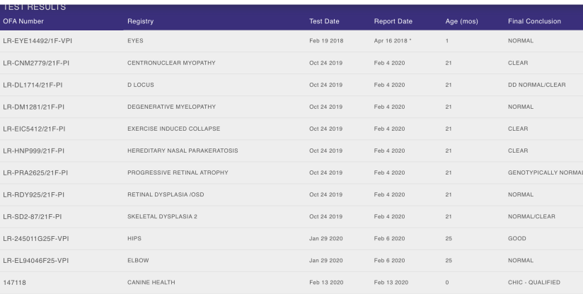 Screen Shot 2020-02-28 at 8.49.45 AM